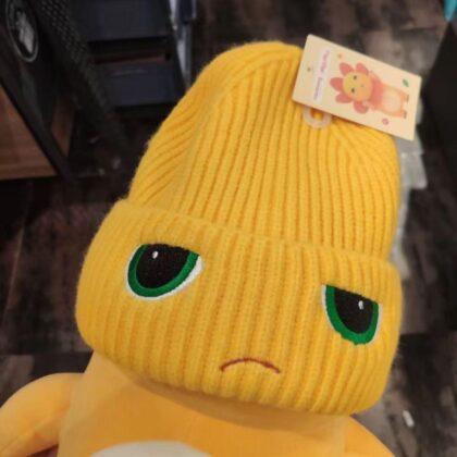 [現貨] 可愛奶龍帽子 可愛奶龍 針織帽子 搞笑禮物 搞怪冷帽 聖誕禮物 秋冬帽子